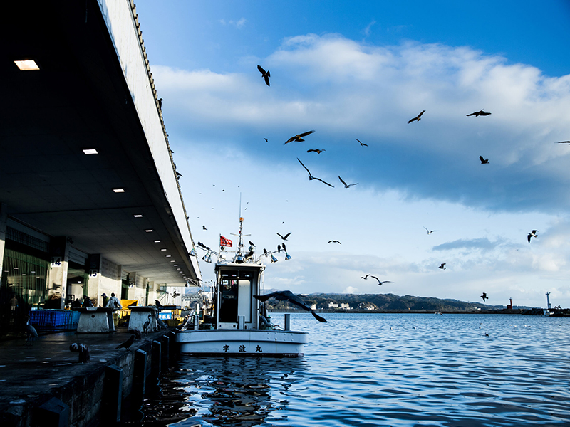 vol.1 魚文化を伝える、魚問屋のコラムをはじめます