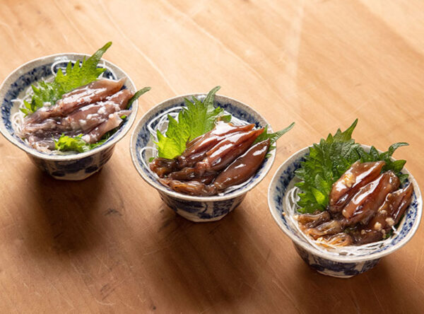 img_hotaru3_600 img_hotaru3_600