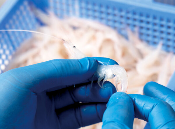 img_ahiro4 img_ahiro4