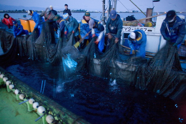 ​​2024年 富山湾のほたるいか漁が解禁されました！