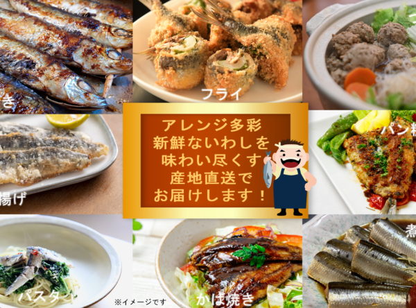 とろ生いわし食べ方アレンジ長方形 2023.09.09 とろ生いわし食べ方アレンジ長方形 2023.09.09