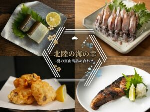 【北陸の海の幸】夏の富山湾詰め合わせギフト